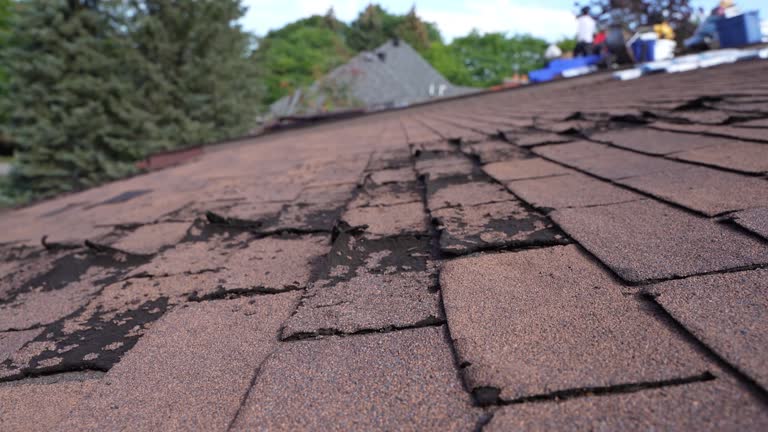 Best Rubber Roofing (EPDM, TPO)  in Indian River, MI