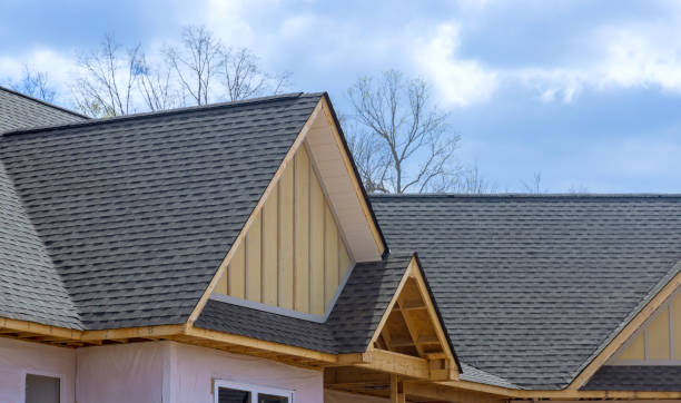 Best Asphalt Shingles Roofing  in Indian River, MI