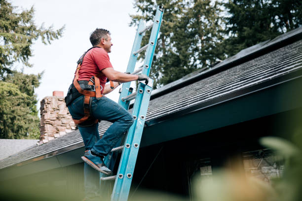 Steel Roofing in Indian River, MI